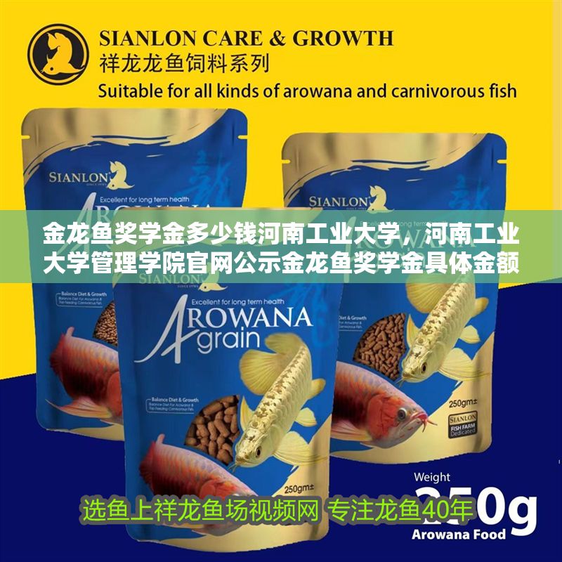 金龍魚獎學金多少錢河南工業(yè)大學，河南工業(yè)大學管理學院官網(wǎng)公示金龍魚獎學金具體金額