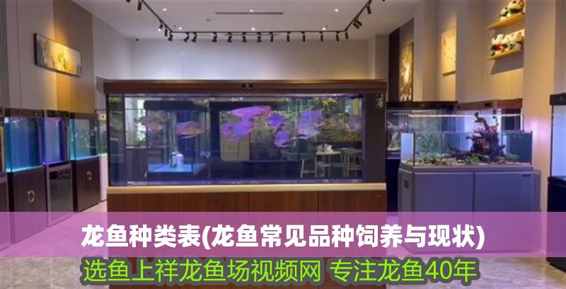 龍魚種類表(龍魚常見品種飼養與現狀)