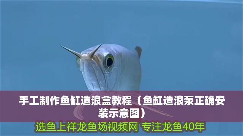 手工制作魚缸造浪盒教程（魚缸造浪泵正確安裝示意圖）