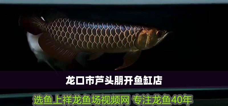 龍口市蘆頭朋開魚缸店