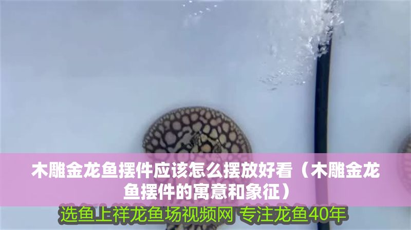 木雕金龍魚(yú)擺件應(yīng)該怎么擺放好看（木雕金龍魚(yú)擺件的寓意和象征）