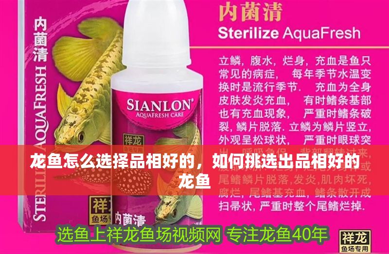 詳細(xì)閱讀:龍魚(yú)怎么選擇品相好的,如何挑選出品相好的龍魚(yú) 龍魚(yú)怎么選擇品相好的,如何挑選出品相好的龍魚(yú)