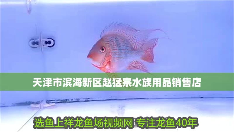 天津市濱海新區(qū)趙猛宗水族用品銷售店
