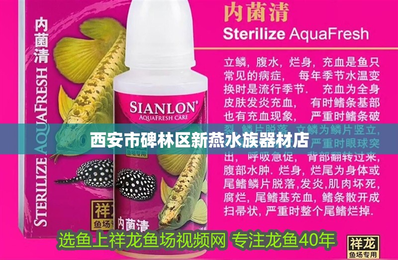 西安市碑林區新燕水族器材店