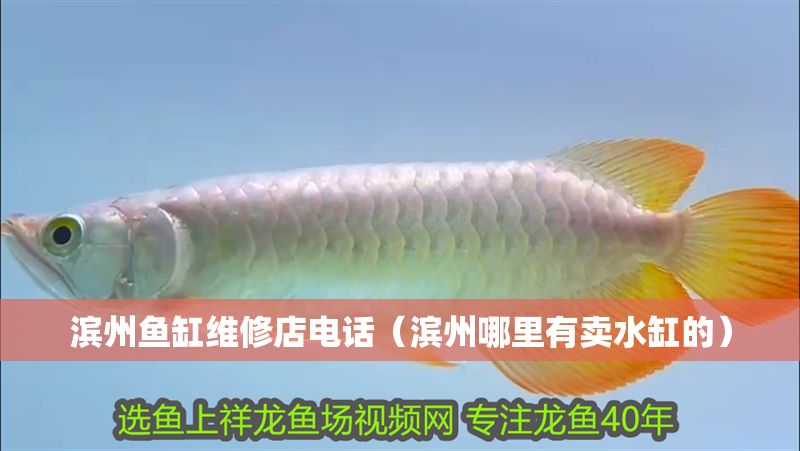 濱州魚缸維修店電話（濱州哪里有賣水缸的）