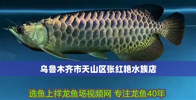 烏魯木齊市天山區(qū)張紅艷水族店
