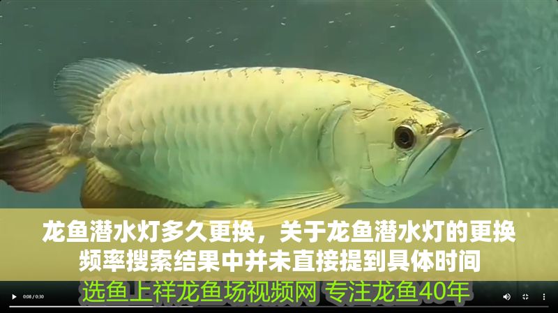 龍魚潛水燈多久更換，關于龍魚潛水燈的更換頻率搜索結果中并未直接提到具體時間