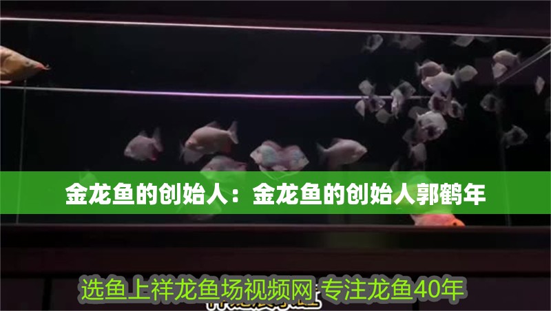 金龍魚的創始人：金龍魚的創始人郭鶴年