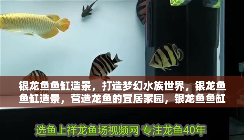 銀龍魚魚缸造景，打造夢幻水族世界，銀龍魚魚缸造景，營造龍魚的宜居家園，銀龍魚魚缸造景，展現獨特水下風光，銀龍魚魚缸造景，探索水族造景藝術之美 銀龍魚魚缸造景，打造夢幻水族世界，銀龍魚魚缸造景，營造龍魚的宜居家園，銀龍魚魚缸造景，展現獨特水下風光，銀龍魚魚缸造景，探索水族造景藝術之美 水族問答