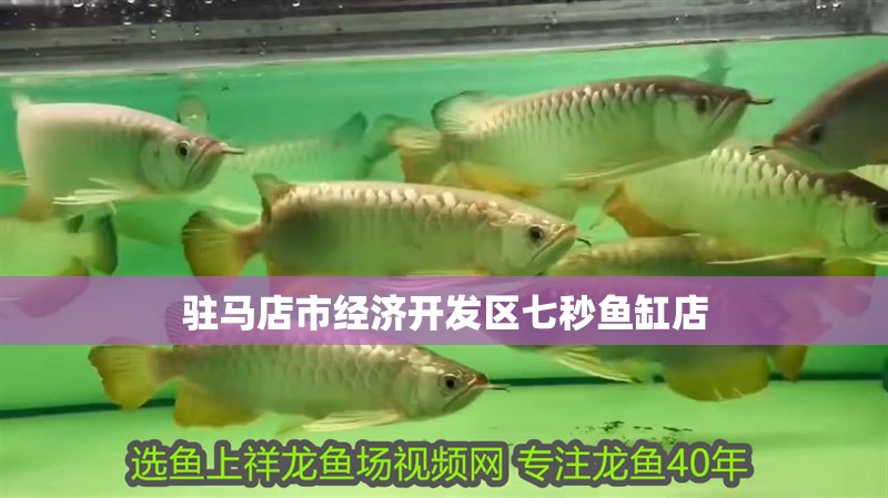 駐馬店市經(jīng)濟(jì)開(kāi)發(fā)區(qū)七秒魚(yú)缸店