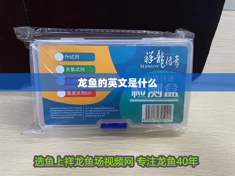 揭秘天價錦鯉，一條魚為何能賣到上千萬？ 揭秘天價錦鯉，一條魚為何能賣到上千萬？ 龍魚百科 第1張