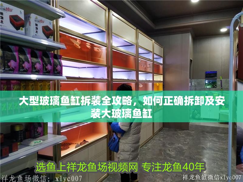 大型玻璃魚缸拆裝全攻略，如何正確拆卸及安裝大玻璃魚缸