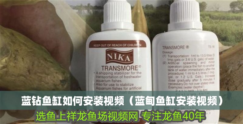 藍鉆魚缸如何安裝視頻（藍甸魚缸安裝視頻）