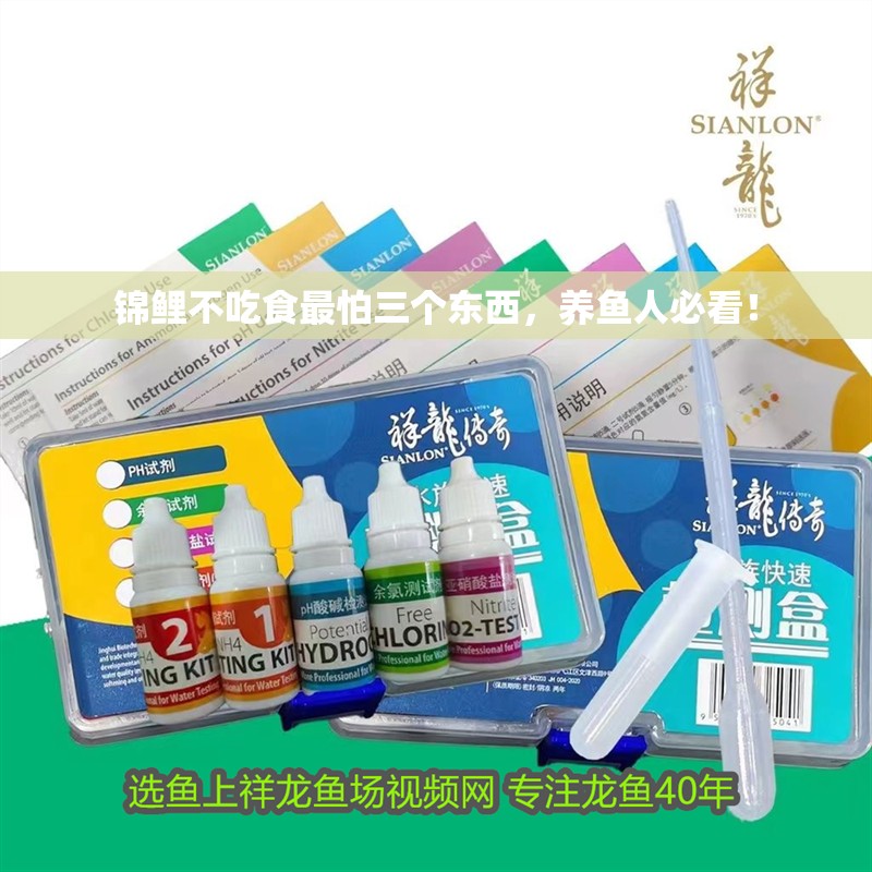 錦鯉不吃食最怕三個東西，養(yǎng)魚人必看！