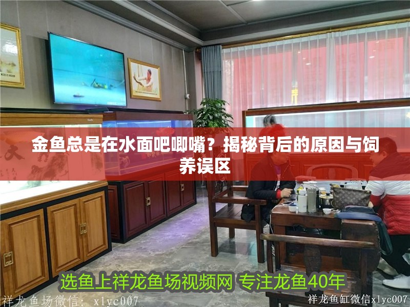 金魚總是在水面吧唧嘴？揭秘背后的原因與飼養誤區