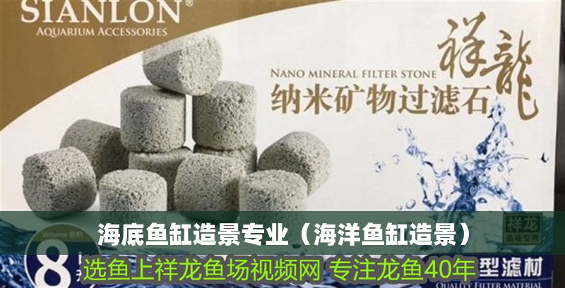海底魚缸造景專業（海洋魚缸造景）