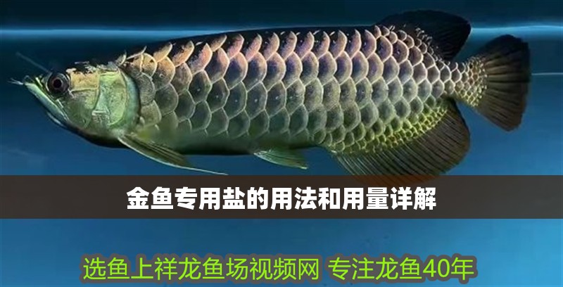 金魚專用鹽的用法和用量詳解 龍魚百科 第2張 金魚專用鹽的用法和用量詳解 金魚專用鹽的用法和用量詳解 龍魚百科 第2張