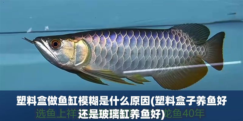 塑料盒做魚缸模糊是什么原因(塑料盒子養(yǎng)魚好還是玻璃缸養(yǎng)魚好)