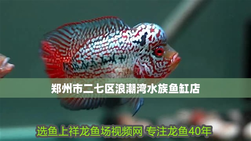 鄭州市二七區(qū)浪潮灣水族魚(yú)缸店