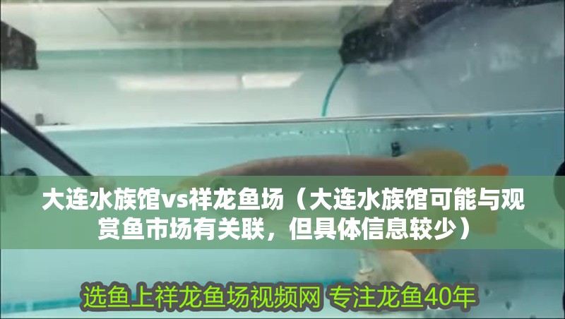 大連水族館vs祥龍魚場(chǎng)（大連水族館可能與觀賞魚市場(chǎng)有關(guān)聯(lián)，但具體信息較少）