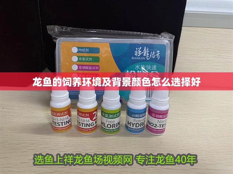 龍魚的飼養環境及背景顏色怎么選擇好