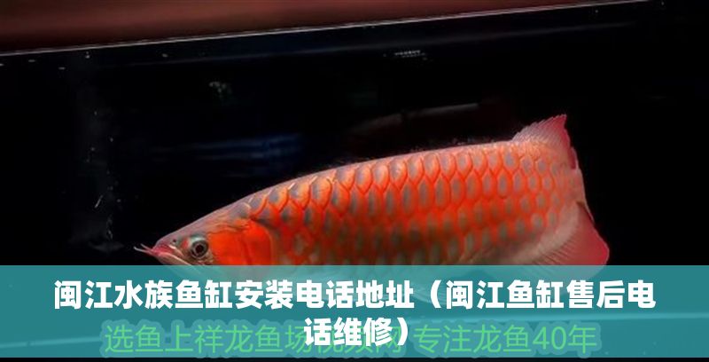 閩江水族魚(yú)缸安裝電話(huà)地址（閩江魚(yú)缸售后電話(huà)維修）