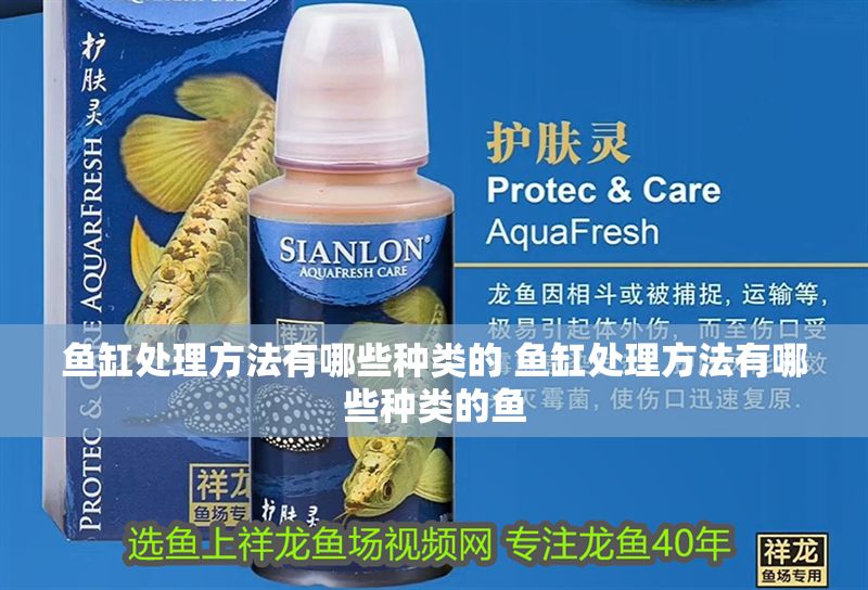 魚缸處理方法有哪些種類的 魚缸處理方法有哪些種類的魚