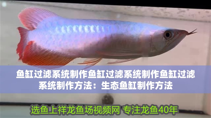 魚缸過濾系統制作魚缸過濾系統制作魚缸過濾系統制作方法：生態魚缸制作方法