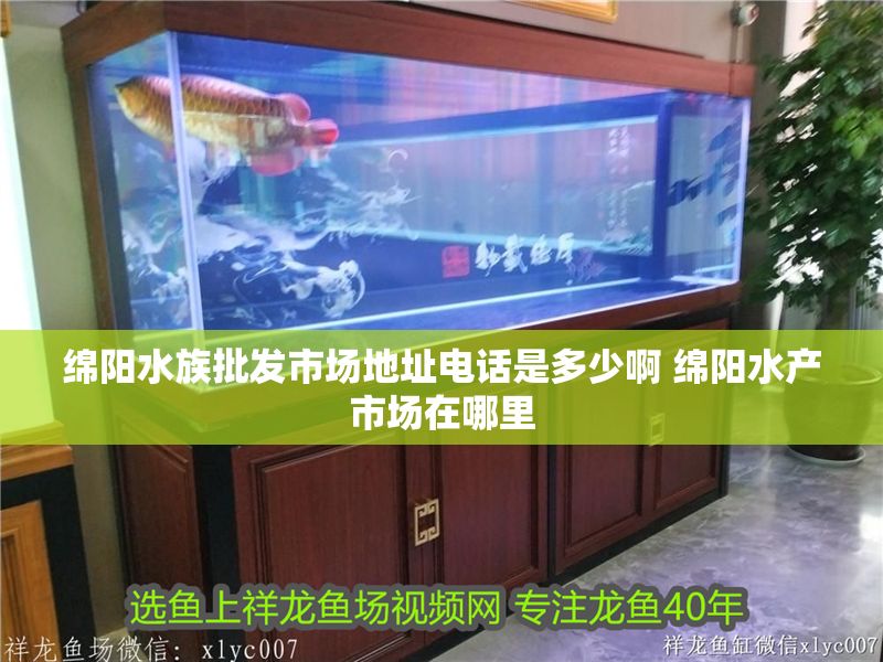 綿陽水族批發市場地址電話是多少啊 綿陽水產市場在哪里