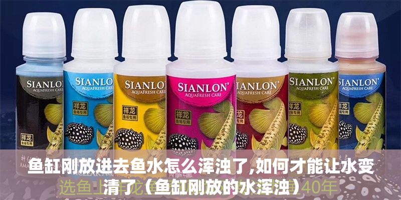 魚缸剛放進去魚水怎么渾濁了,如何才能讓水變清了（魚缸剛放的水渾濁）