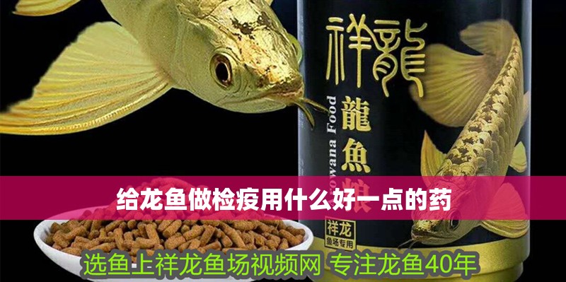 給龍魚做檢疫用什么好一點的藥
