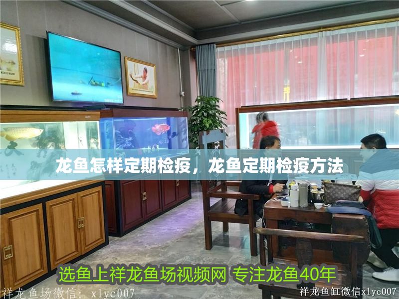 龍魚怎樣定期檢疫，龍魚定期檢疫方法