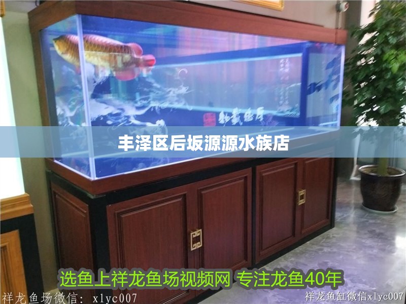 豐澤區(qū)后坂源源水族店