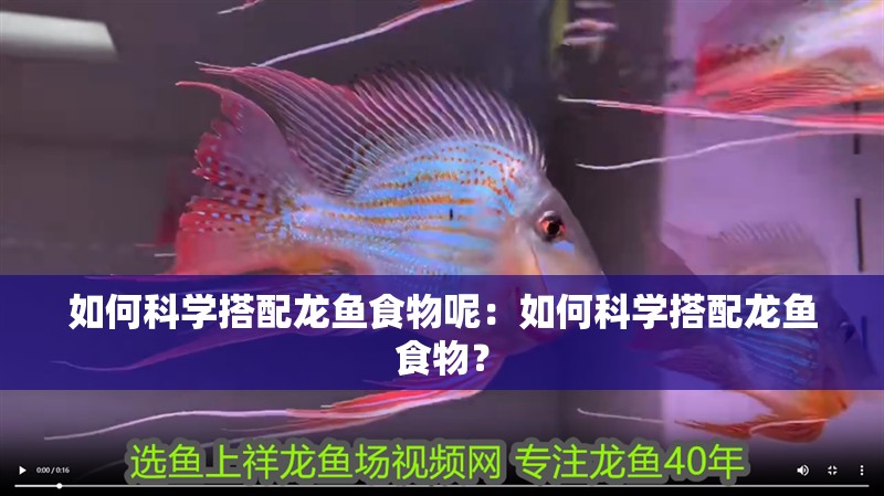 如何科學搭配龍魚食物呢：如何科學搭配龍魚食物？