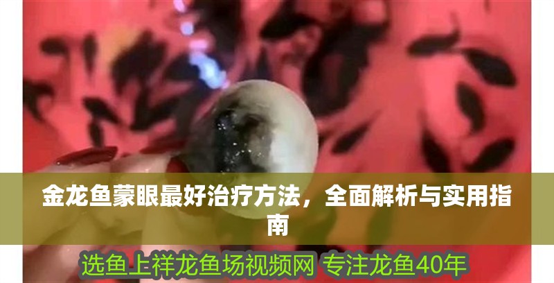金龍魚蒙眼最好治療方法，全面解析與實用指南