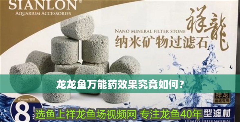 龍龍魚萬能藥效果究竟如何？