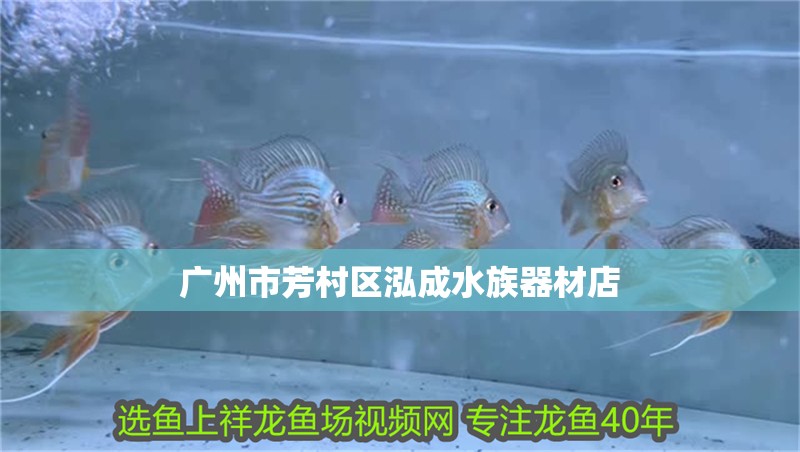 廣州市芳村區泓成水族器材店