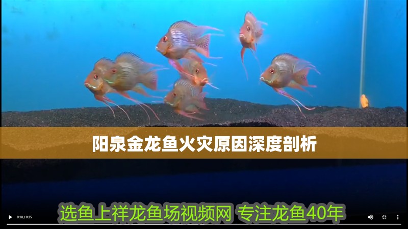 陽(yáng)泉金龍魚(yú)火災(zāi)原因深度剖析