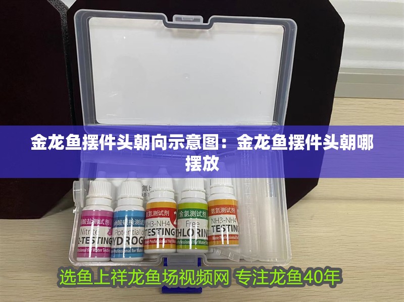 金龍魚擺件頭朝向示意圖：金龍魚擺件頭朝哪擺放