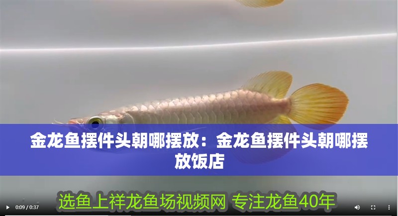 金龍魚擺件頭朝哪擺放：金龍魚擺件頭朝哪擺放飯店
