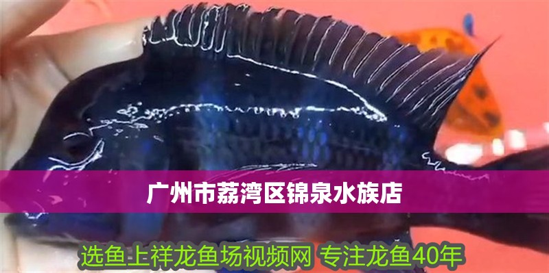 廣州市荔灣區錦泉水族店
