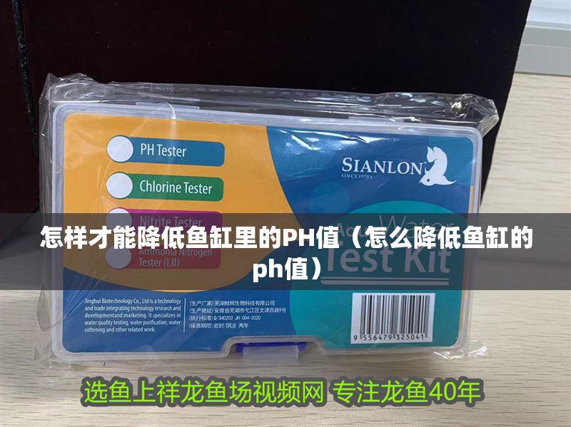 怎樣才能降低魚缸里的PH值（怎么降低魚缸的ph值）