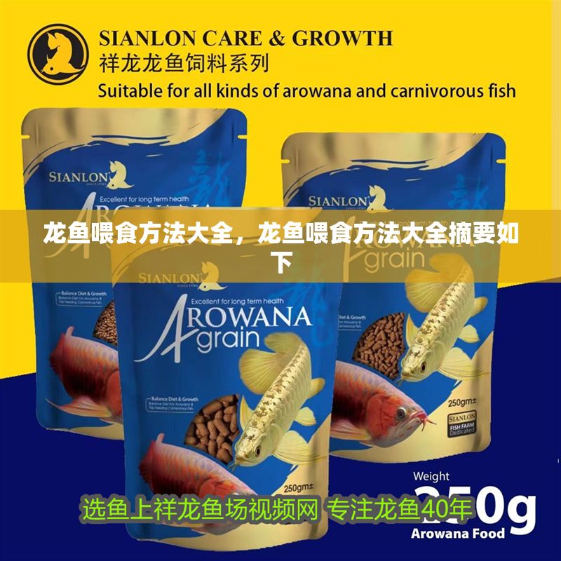 龍魚喂食方法大全，龍魚喂食方法大全摘要如下