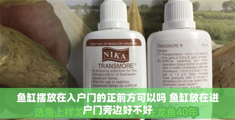 魚缸擺放在入戶門的正前方可以嗎 魚缸放在進戶門旁邊好不好