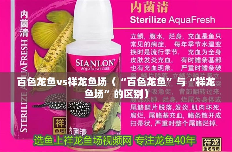 百色龍魚vs祥龍魚場（“百色龍魚”與“祥龍魚場”的區(qū)別）