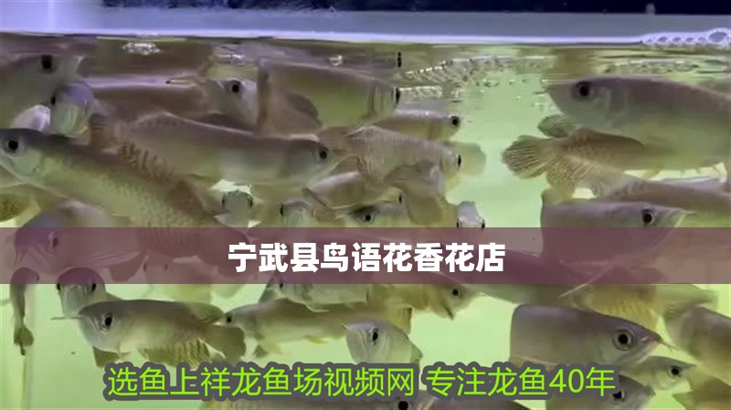寧武縣鳥語花香花店