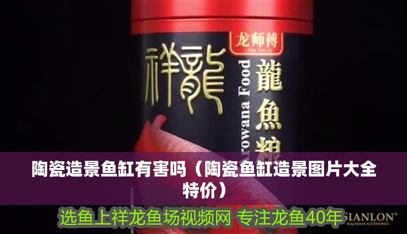 陶瓷造景魚缸有害嗎（陶瓷魚缸造景圖片大全特價）