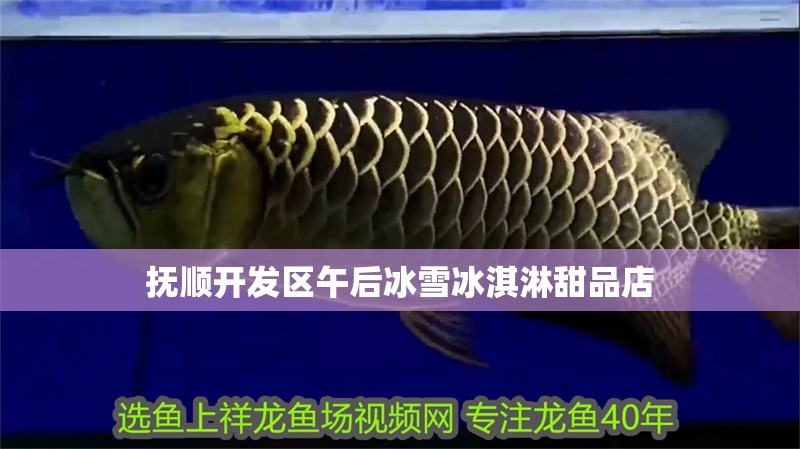 撫順開發區午后冰雪冰淇淋甜品店