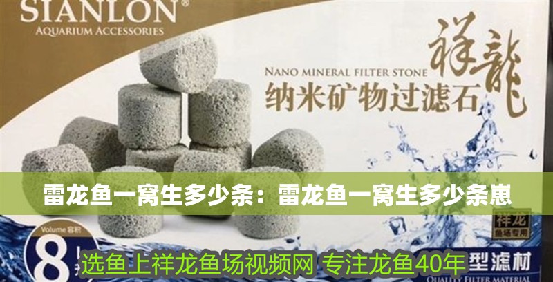 雷龍魚一窩生多少條：雷龍魚一窩生多少條崽