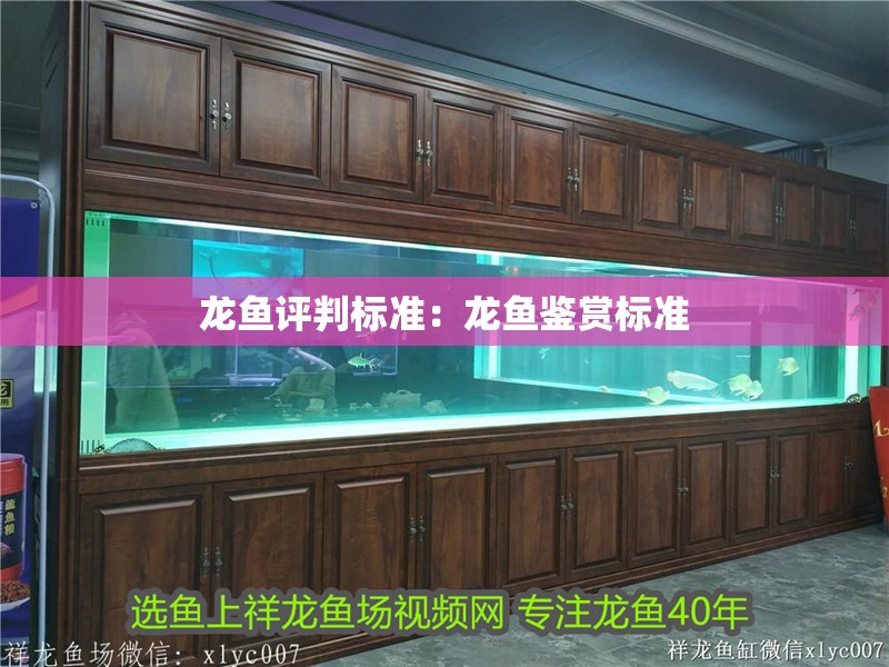 龍魚評判標(biāo)準(zhǔn)：龍魚鑒賞標(biāo)準(zhǔn)